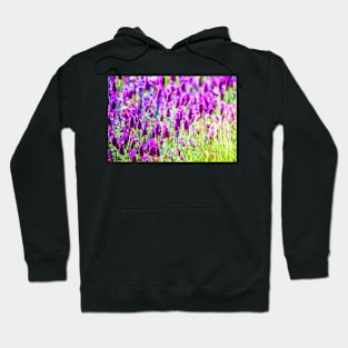 Spring Garden #6 Hoodie